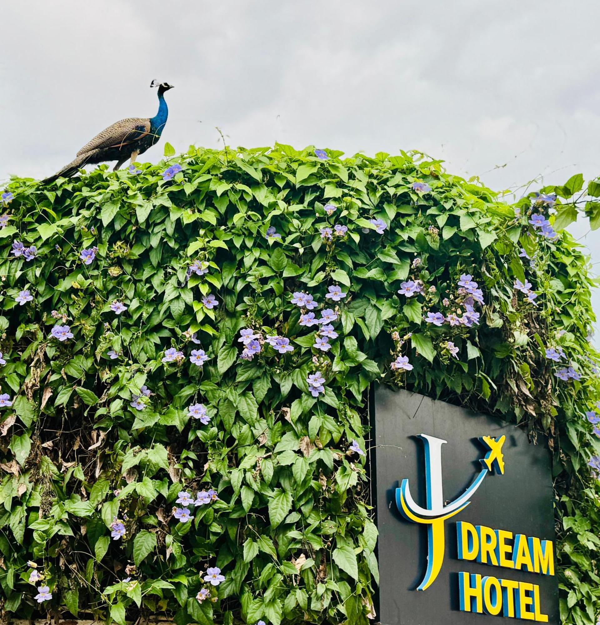 Airport J Dream Resort Dewamottawa Exteriör bild